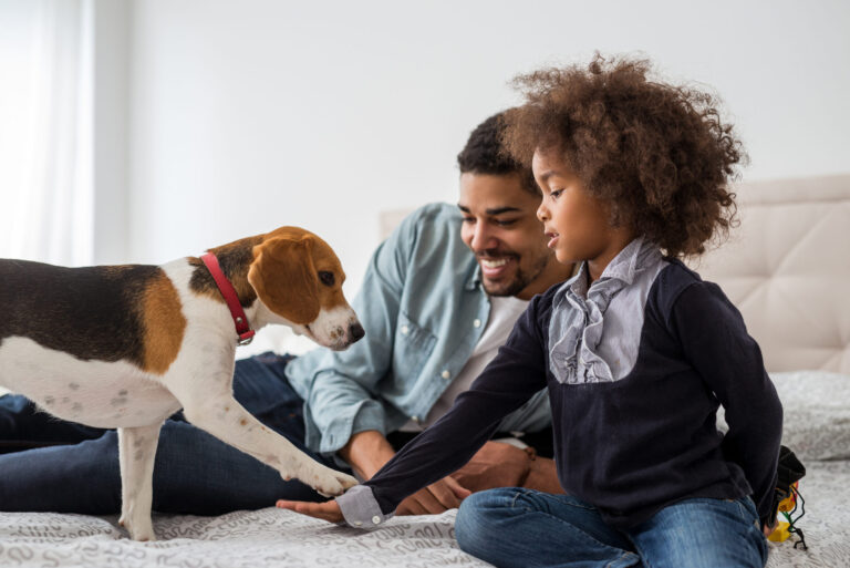 Image of a girl and her dad playing with a dog